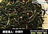 潮音潮人：炒麻叶的做法