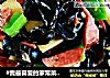 #我最喜爱的家常菜#～～木耳尖椒土豆片的做法