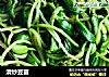清炒豆苗的做法