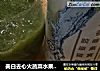 美白去心火蔬菜水果榨汁的做法