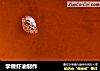 学做虾油制作的做法