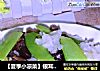 【夏季小凉菜】银耳新吃法---双耳拌荷兰豆的做法