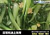 蒜蓉蚝油上海青的做法
