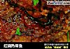 红烧热带鱼的做法
