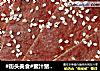 #街头美食#蜜汁猪肉铺的做法