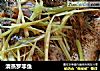 清蒸罗非鱼的做法