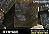 筒子骨炖海带的做法