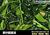 素炒藤藤菜的做法