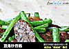 豆角炒香肠的做法
