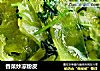 香菜炒凉粉皮的做法