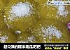 超Q弹的糯米南瓜粑粑的做法
