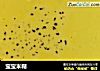 宝宝米糊的做法