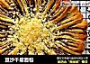 豆沙千层面包的做法