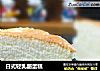 日式轻乳酪蛋糕的做法