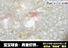 宝宝辅食：燕麦虾粥，补钙粥道的做法
