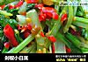 剁椒小白菜的做法