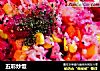 五彩炒饭的做法
