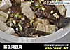 鲫鱼炖豆腐的做法