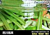 四川泡菜的做法