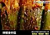 辣椒金针菇的做法