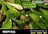 青椒牛肉丝的做法
