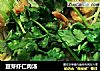 豆芽虾仁肉汤的做法