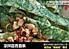 凉拌茴香面条的做法
