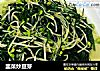 韭菜炒豆芽的做法