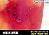 水果冰块雪碧的做法