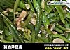 猪油炒豆角的做法