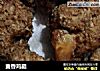 麦香鸡腿的做法