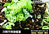 川味干拌杂酱面的做法