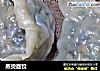 蒸烫面饺的做法