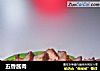 五香酱肉的做法