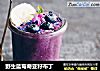 野生蓝莓奇亚籽布丁的做法