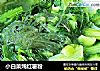 小白菜炖红薯粉的做法