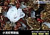 小龙虾蒸粉丝的做法