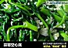 蒜蓉空心菜的做法
