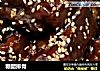 糖醋排骨的做法