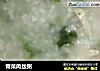 青菜肉丝粥的做法