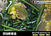 焚忧排骨汤的做法