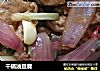 干锅油豆腐的做法