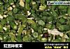 豇豆辣椒末的做法