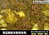 高压锅版米粉蒸排骨。的做法