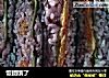 饭团饿了的做法