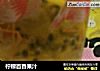 柠檬百香果汁的做法