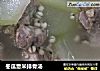 冬瓜薏米排骨汤的做法