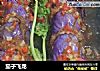 茄子飞龙的做法