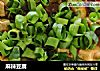 麻辣豆腐的做法