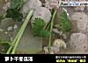 萝卜干冬瓜汤的做法